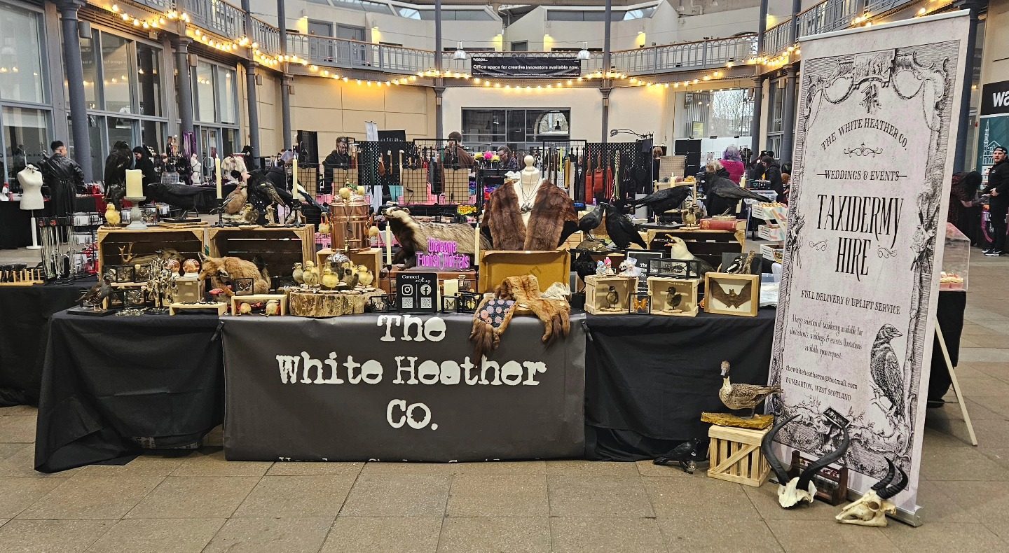 The White Heather Co to open Helensburgh-based oddity shop