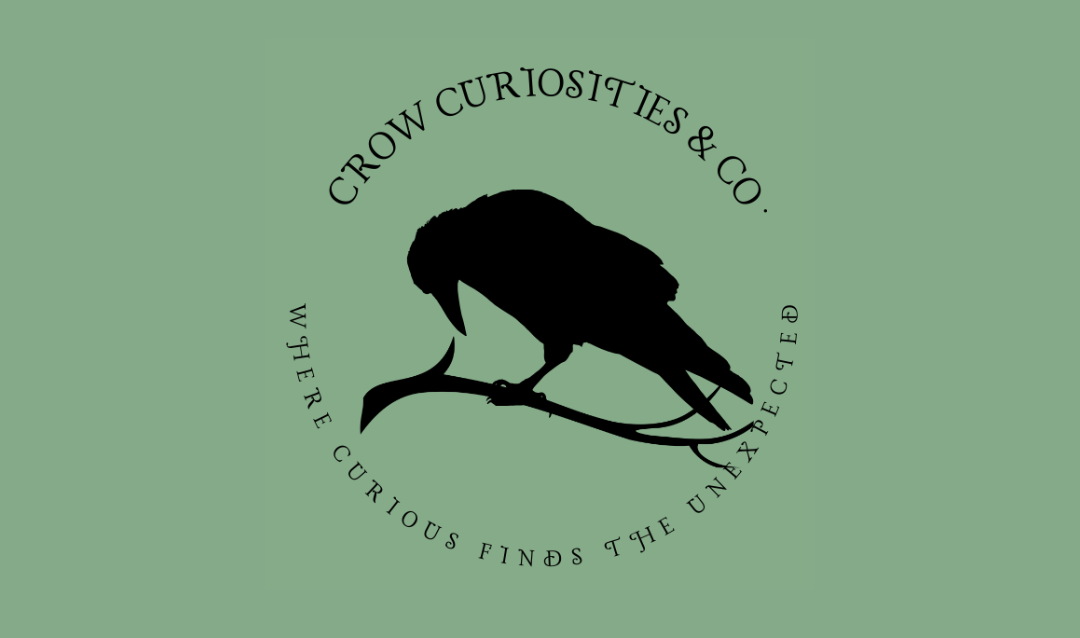 Feeding the Soul: Inside Crow Curiosities, Stirling’s hub for witchcraft, community and self-care